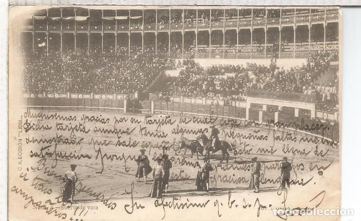 Postais: TOROS DORSO SIN DIVIDIR