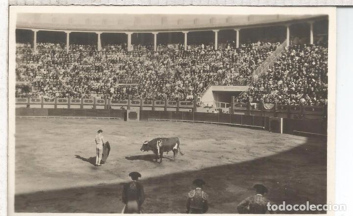 Postais: TOROS SIN ESCRIBIR