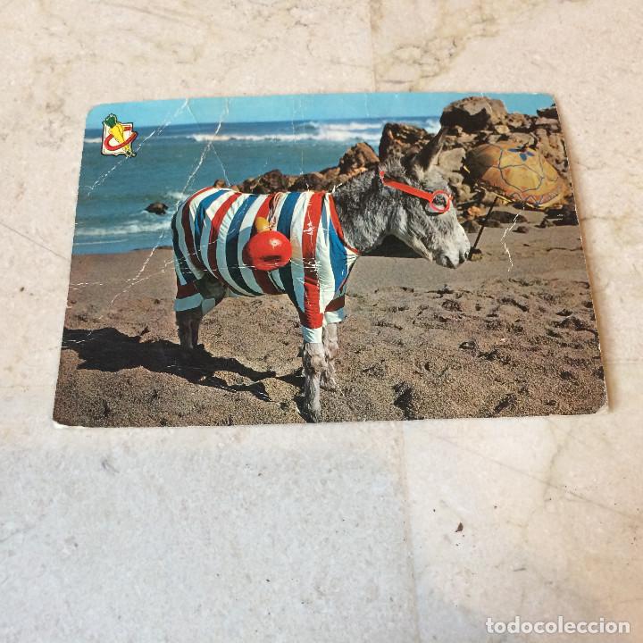 Postais: POSTAL ESCRITA A&Ntilde;O 1962 - &iexcl;QUE BURRO SOY!