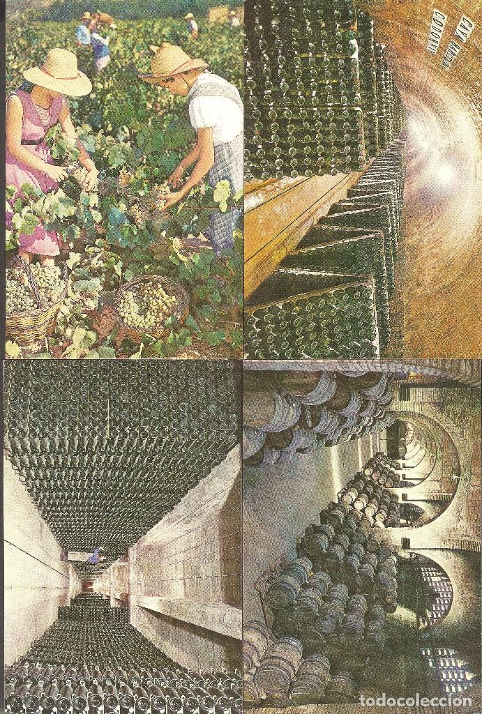 Postais: LOTE 6 TARJETAS POSTALES Y SOBRE CASA CODORNIU.