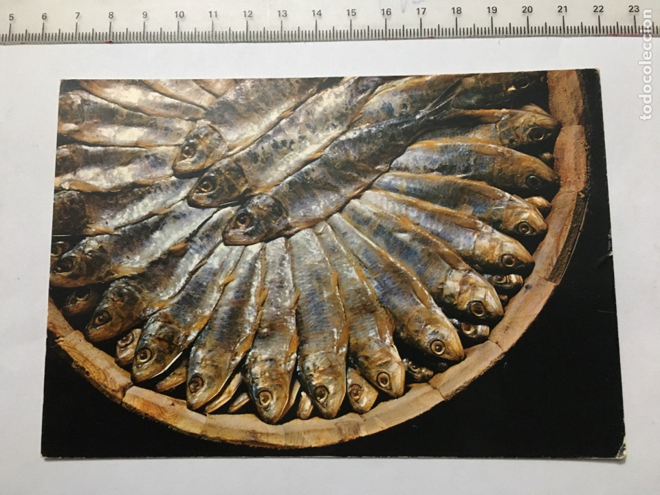 Postais: POSTAL. 7. ARENQUES. Bodeg&oacute;n. GARC&Iacute;A GARRABELLA. H 1960