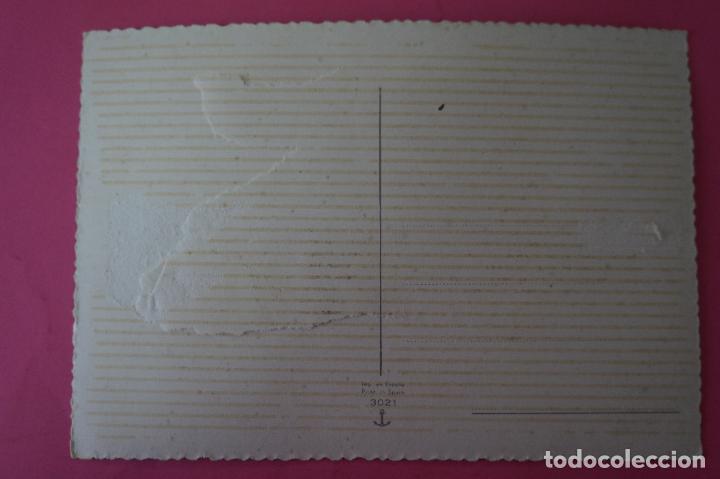 Postales: POSTAL DE PERROS SIN CIRCULAR - Foto 2