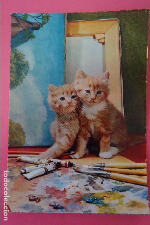 Postales: POSTAL DE GATOS SIN CIRCULAR - Foto 1