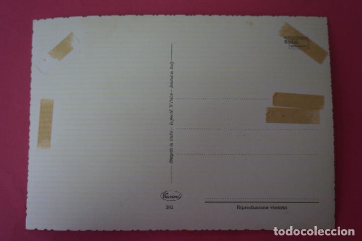 Postales: POSTAL DE GATOS SIN CIRCULAR - Foto 2