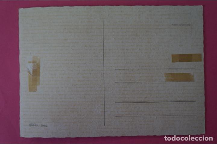 Postales: POSTAL DE PERROS SIN CIRCULAR - Foto 2