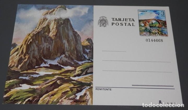 Postais: TARJETA POSTAL ILUSTRADA DE NARANJO DE BULNES -- ASTURIAS