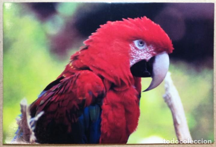 Postales: TARJETA POSTAL POSTALES PUBLICIDAD ALFER INDUSTRIAS GRAFICAS 2