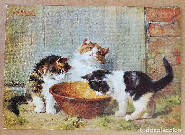 Postkarten: TARJETA POSTAL POSTALES PUBLICIDAD JULIUS ADAM 1852 1913 GATITOS
