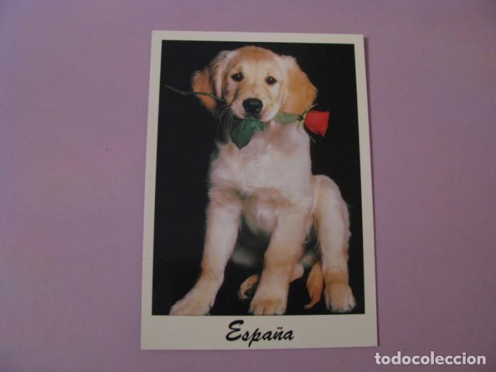 Cartes Postales: POSTAL ESPA&Ntilde;A. ED. 07 C. B.