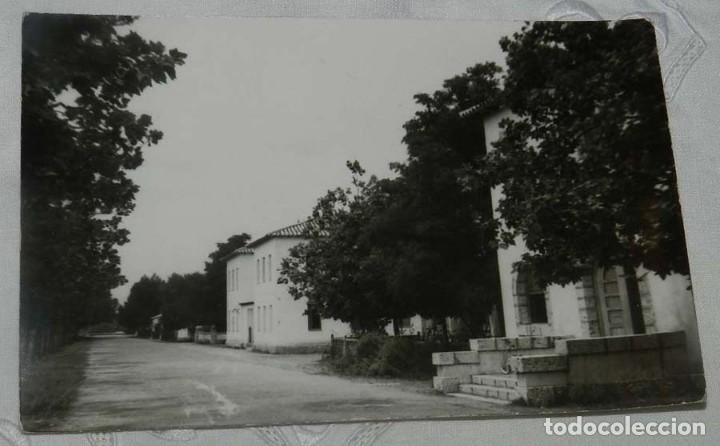 Cartes Postales: FOTO POSTAL NO LOCALIZADA, NO PONE DE DONDE ES, POR EL REVERSO FIRMAS Y DEDICATORIAS.