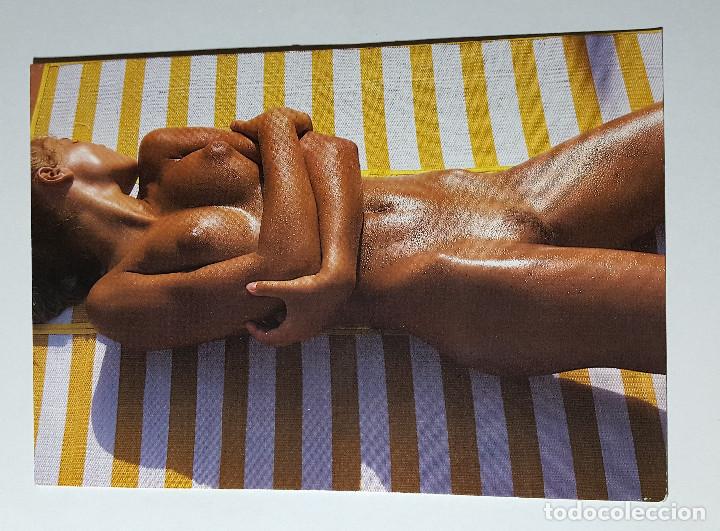 Cartes Postales: Chica tomando el sol desnuda morena erotica