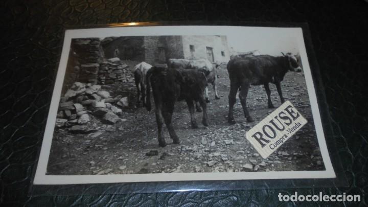 Cartes Postales: ANTIGUA POSTAL FOTOGRAFICA A&Ntilde;OS 30 PROBABLEMENTE . GALICIA - 14X9 CM.