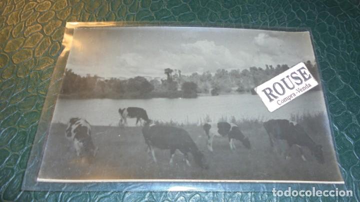 Postales: ANTIGUA POSTAL FOTOGRAFICA A&Ntilde;OS 30 - PROBABLEMENTE GALIA - 14X9 CM.