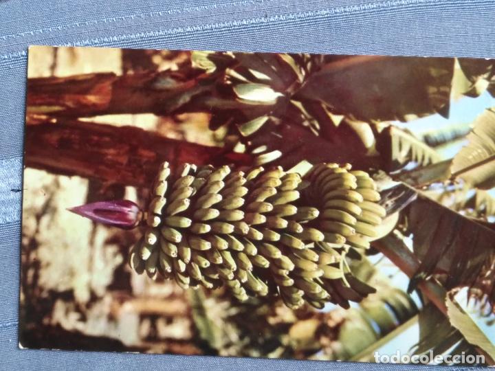 Postales: antigua postal - la palmas ediciones arribas - Foto 1