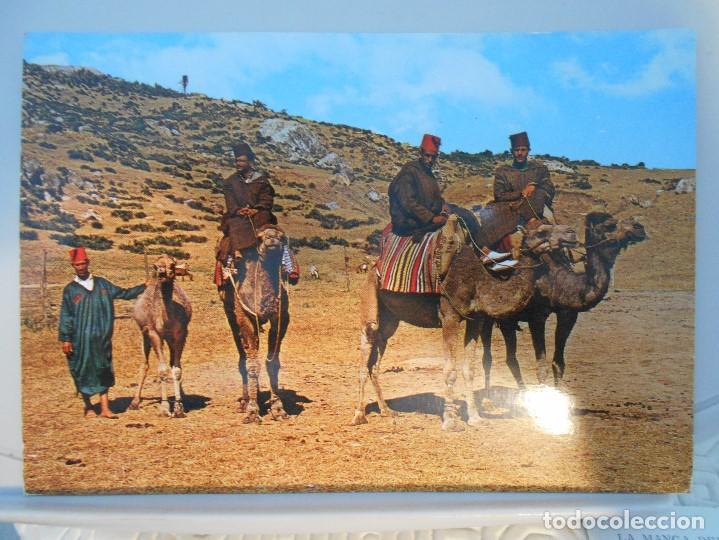 Postales: MARRUECOS. CAMELLEROS. POSTAL. - Foto 1