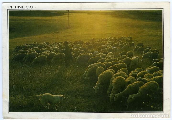 Postales: N&ordm; FyF 47 - PIRINEOS. Sin circular. Ed. SICILIA.