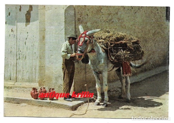 Postales: RECUERDO DE ESPA&Ntilde;A N&ordm; 540 .- EDICIONES LUX-COLOR