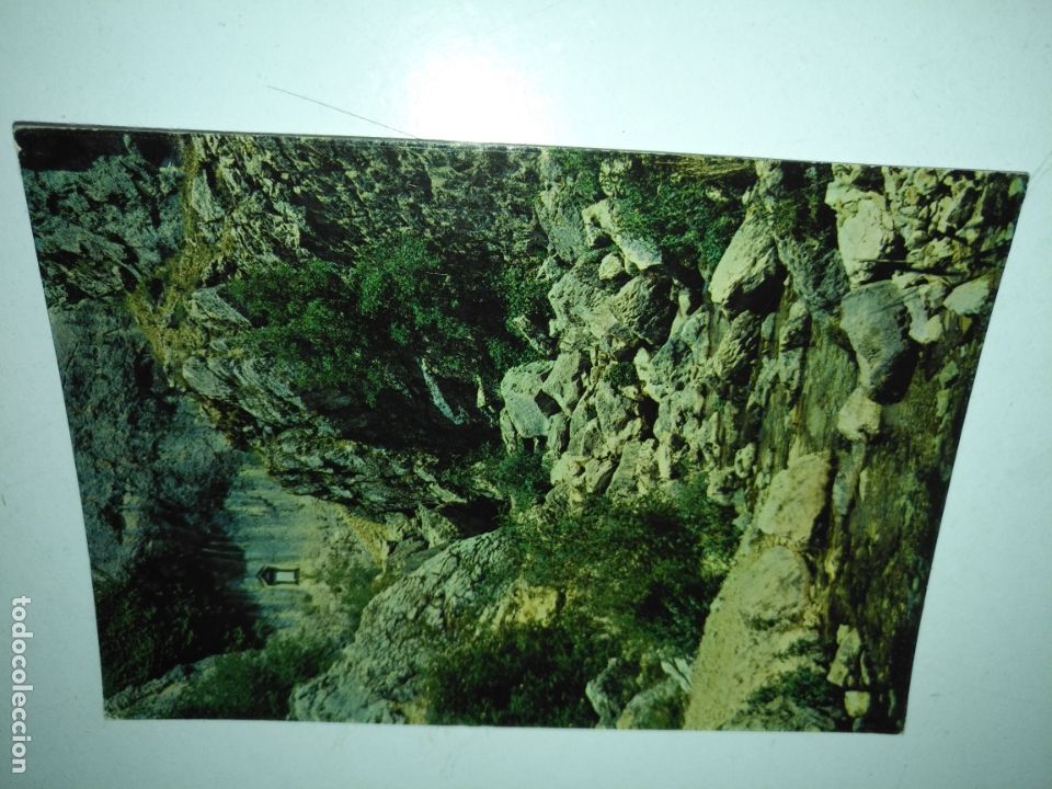 Cartoline: REF: ROSAR - HAGA SUS OFERTAS , POSTAL POSTALES SIN REVISAR -  Sierra de Cazorla Ja&eacute;n/