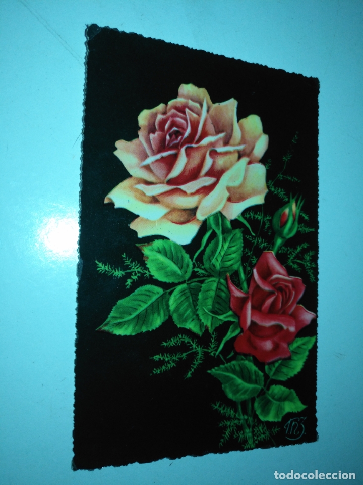 Cartoline: REF: ROSAR - HAGA SUS OFERTAS , POSTAL POSTALES SIN REVISAR - flores