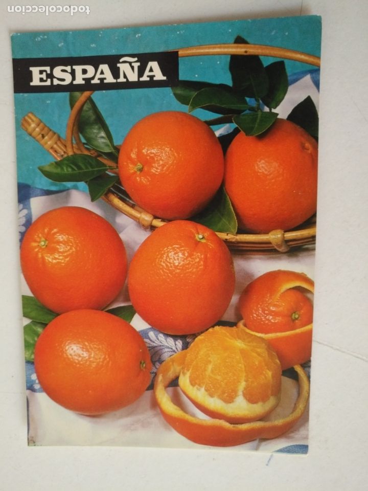Cartoline: REF: ROSAR - HAGA SUS OFERTAS , POSTAL POSTALES SIN REVISAR - sindicato nacional frutos horticolas