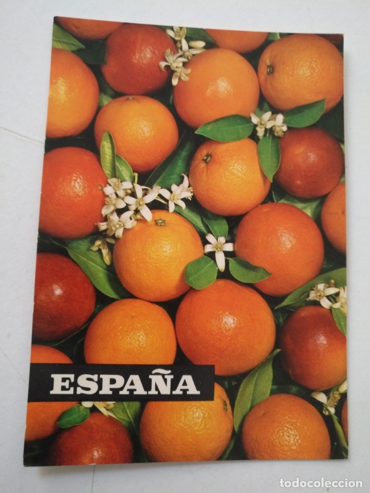 Cartoline: REF: ROSAR - HAGA SUS OFERTAS , POSTAL POSTALES SIN REVISAR - sindicato nacional frutos horticolas