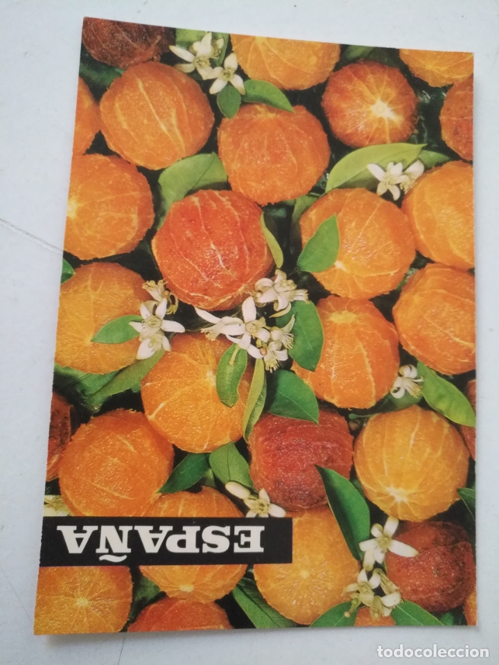 Cartoline: REF: ROSAR - HAGA SUS OFERTAS , POSTAL POSTALES SIN REVISAR - sindicato nacional frutos horticolas