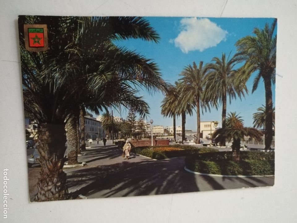 Cartoline: REF: ROSAR - HAGA SUS OFERTAS , POSTAL POSTALES SIN REVISAR - tanger
