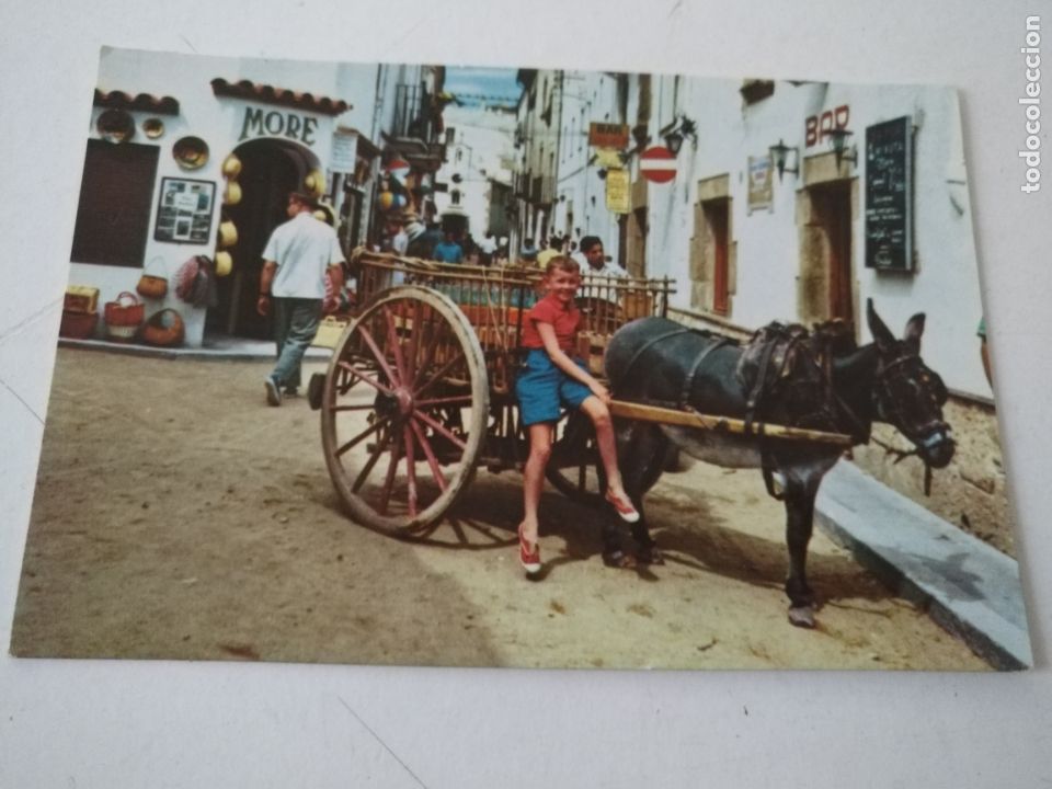 Cartoline: REF: ROSAR - HAGA SUS OFERTAS , POSTAL POSTALES SIN REVISAR -  catalu&ntilde;a