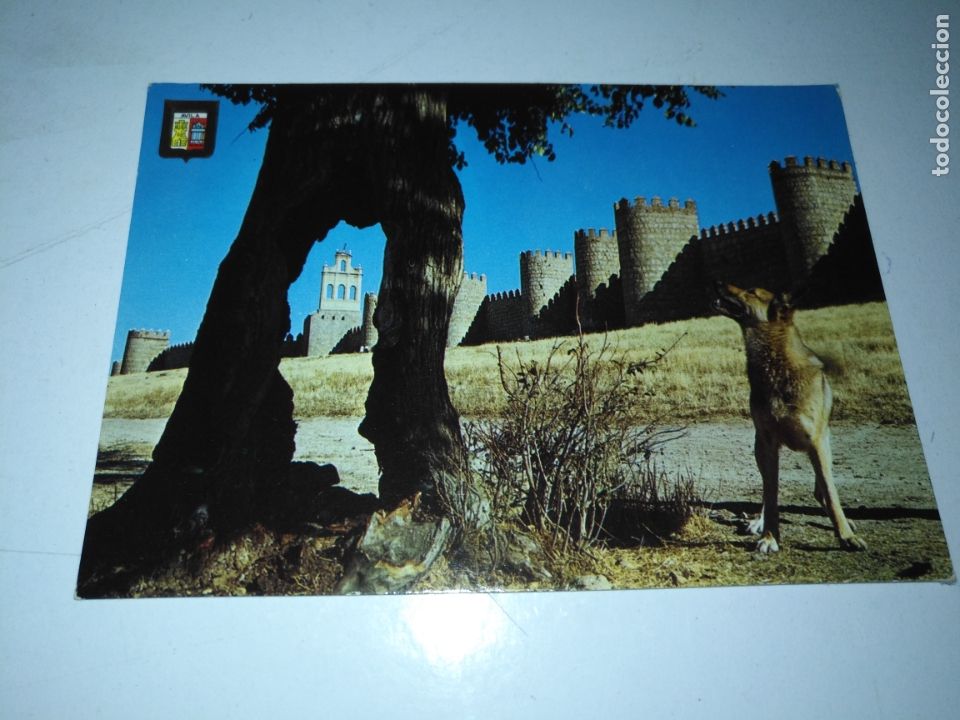 Cartoline: REF: ROSAR - HAGA SUS OFERTAS , POSTAL POSTALES SIN REVISAR - avila
