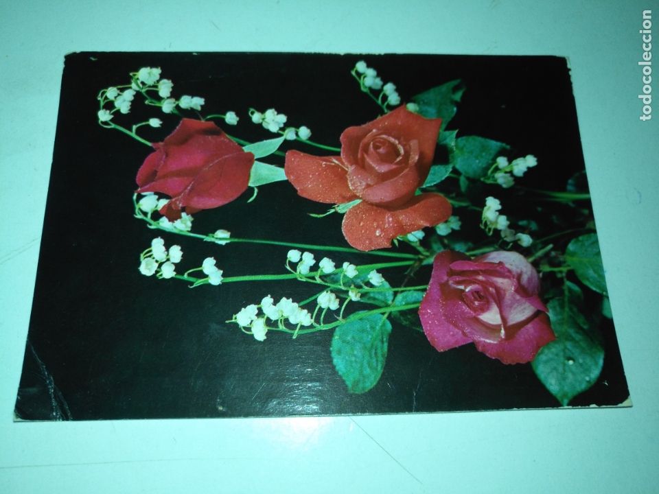 Cartoline: REF: ROSAR - HAGA SUS OFERTAS , POSTAL POSTALES SIN REVISAR - bv flores