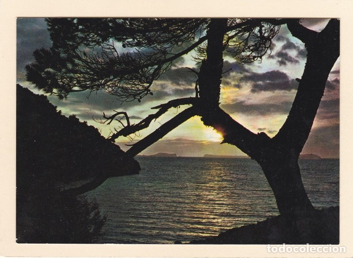 Postales: POSTAL SALIDA DE SOL - Foto 1