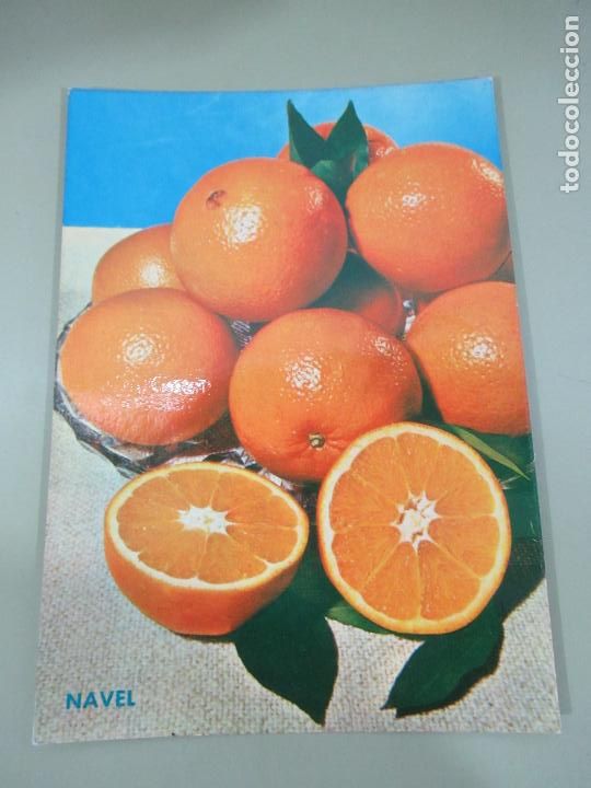 Postales: Navel Espa&ntilde;a - S/C - Foto 1