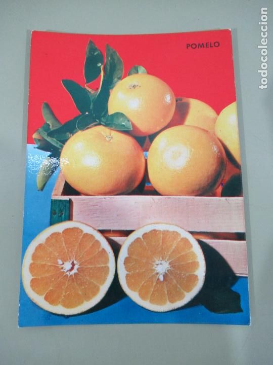 Postales: Pomelo Espa&ntilde;a - S/C - Foto 1