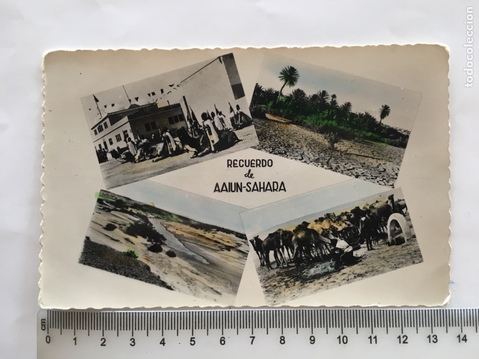 Cartoline: POSTAL. RECUERDO DE AAIUN-SAHARA. FOTO A. DE PORRAS. H. 1960?.