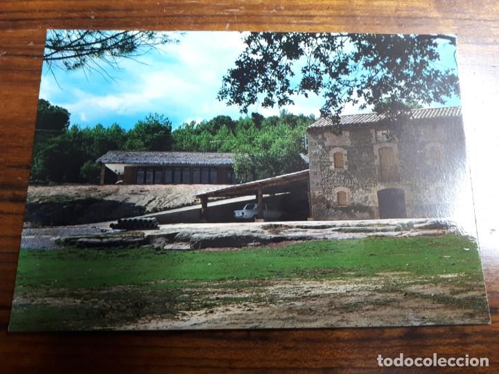 Postales: Avi&agrave;, Les vinyes de Vilamar&iacute; - Foto 1