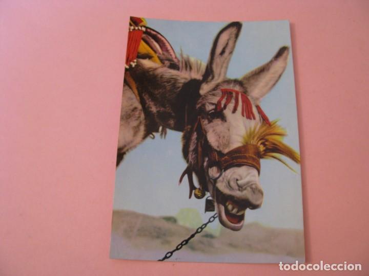 Postales: POSTAL DE ESPA&Ntilde;A. BURRITO ALEGRE. ED. DELTA. ESCRITA. - Foto 1