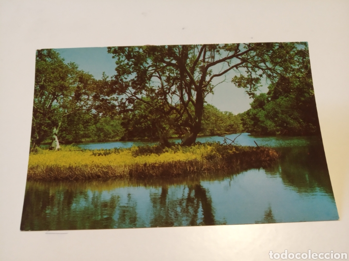 Postcards: La Restinga isla margarita