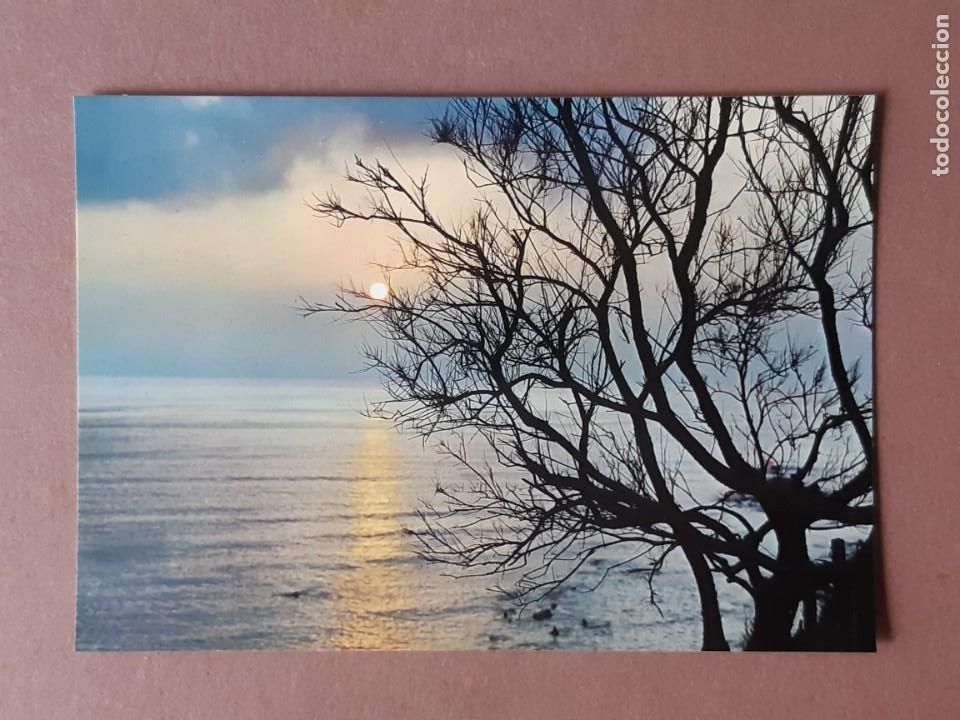 Cartoline: POSTAL 211 ALARDE. PUESTA DE SOL. ESPA&Ntilde;A. 1973. SIN CIRCULAR.