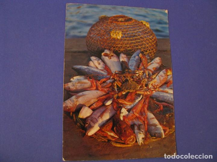 Postales: POSTAL DE PANERA TIPICA DE PESCADO. ED. PUIG-FERRAN. - Foto 1