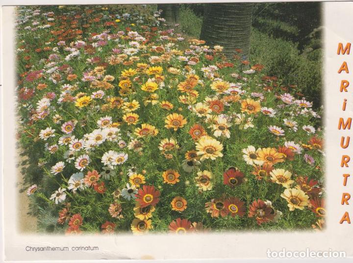 Postales: Marimurtra. Jard&iacute;n Bot&aacute;nico - Foto 1