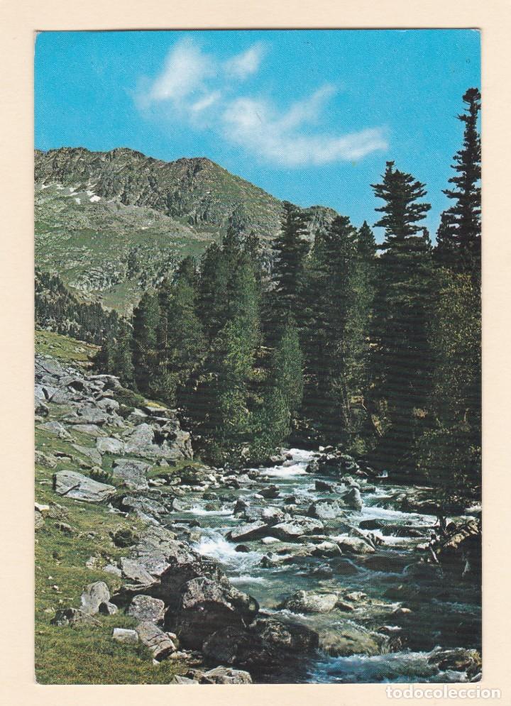 Postales: PAISAJE DE MONTA&Ntilde;A. RIO - Foto 1