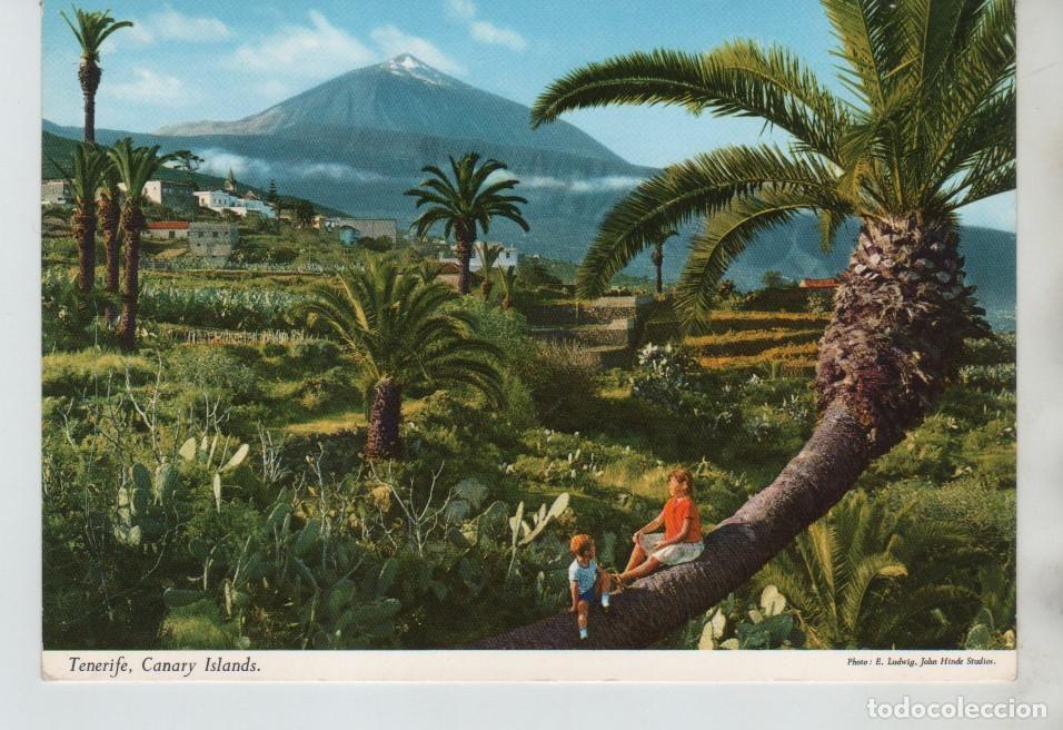 Postales: POSTAL EL TEIDE TENERIFE ISLAS CANARIAS - Foto 1