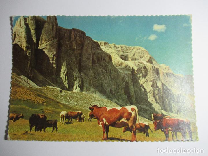 Postales: El Ancla n&ordm; 3017 - S/C - Foto 1