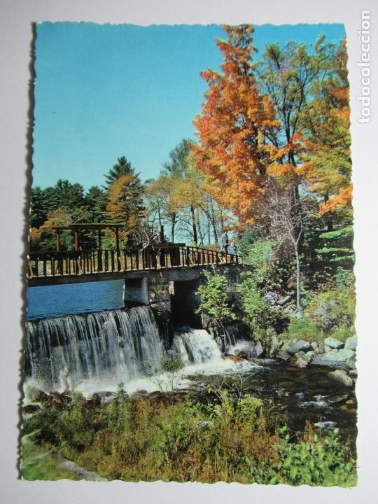 Postales: CyZ n&ordm; 6565 - Escrita - Foto 1