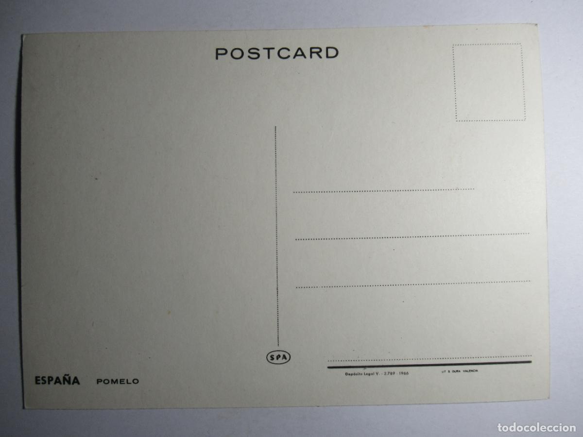 Postales: Espa&ntilde;a - Pomelo - Foto 2