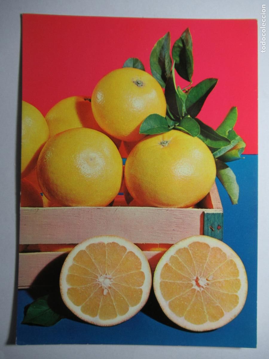 Postales: Espa&ntilde;a - Pomelo - Foto 1