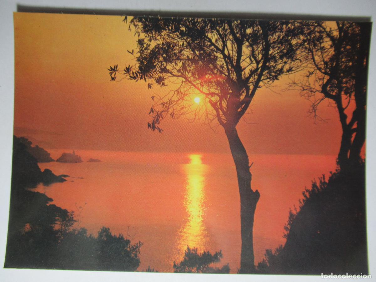 Postales: Puesta de Sol - Foto 1