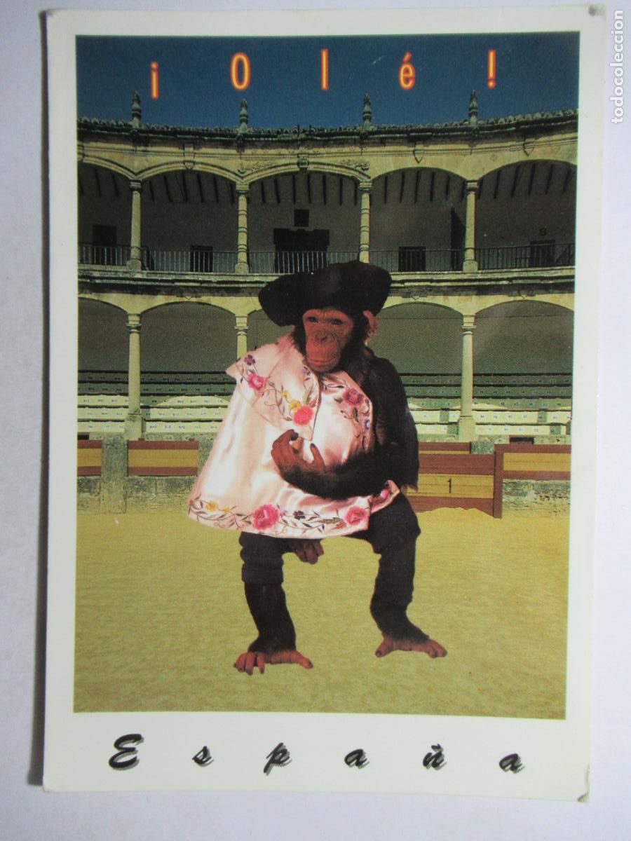 Postales: Espa&ntilde;a - &iexcl;Ol&eacute;! - Foto 1