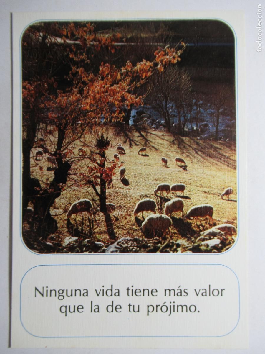 Postales: La Postal de la Amistad - Escudo de Oro - Foto 1