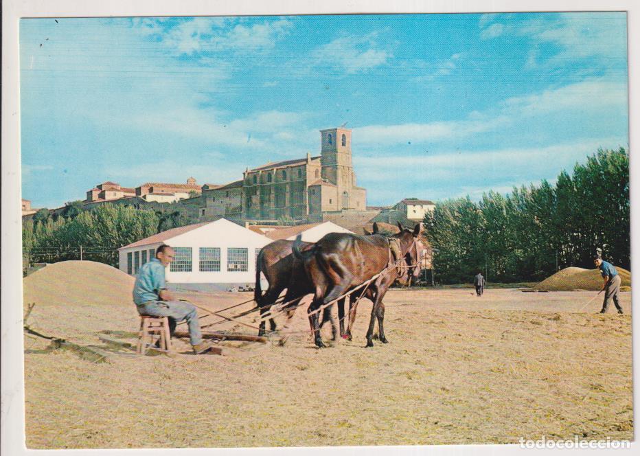 Postales: Lerma. Trilla en Castilla. A&ntilde;o 1966. sin circular - Foto 1
